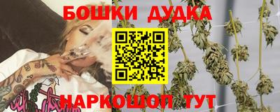 индика Ликино-Дулёво