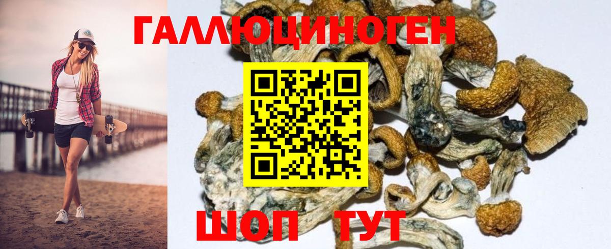Псилоцибиновые грибы прущие грибы  Галлюциногенные грибы GOLDEN TEACHER  Ивантеевка  Вход с VPN 